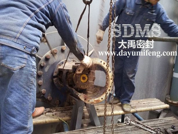 四川大禹機械密封ESD42安裝現場