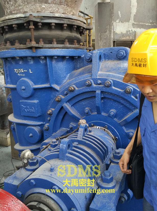 強大泵TLJ機械密封現場